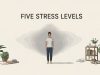 What Are the Five Stress Levels? A Complete Guide What Are the Five Stress Levels A Complete Guide
