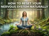 How to Reset Your Nervous System Naturally