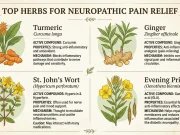 Top Herbs for Neuropathic Pain Relief Top Herbs for Neuropathic Pain Relief